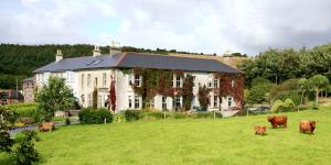 Loodusmaastik of the bed and breakfast lähedal
