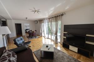 TV a/nebo společenská místnost v ubytování Park Srce Apartments