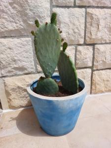 赫瓦尔Vila Luka的相册照片