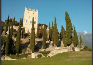 un castello in cima a una collina con alberi di M8tto ad Arco