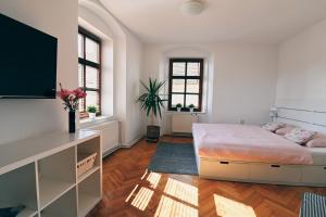 una camera da letto con un letto e una TV a schermo piatto di Kutna Hora new apartment a Kutná Hora