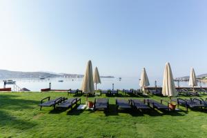 a group of chairs and umbrellas on the grass near the water at Costa Luvi Hotel Bodrum - All Inclusive in Gümbet