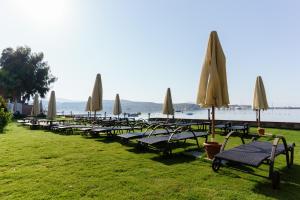 a row of chaise lounges with umbrellas on the grass at Costa Luvi Hotel Bodrum - All Inclusive in Gümbet