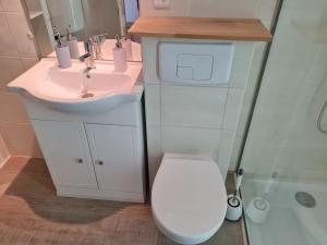 uma casa de banho com um WC branco e um lavatório. em Les Chouchous du Ried 2 em Saasenheim