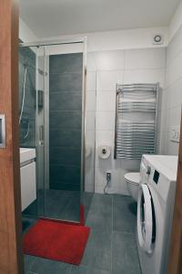 Modern apartment in Kutna Hora في كوتنا هورا: حمام مع دش زجاجي ومرحاض