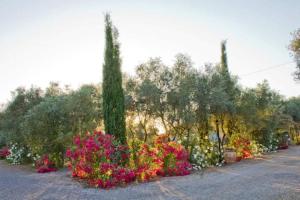 a row of flowers and trees in a park at Agriturismo Il Riccio in Forni di Gavorrano