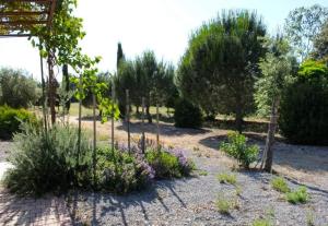 a garden with flowers and trees in the background at Agriturismo Il Riccio in Forni di Gavorrano