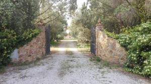 an old stone wall with a gate on a dirt road at Agriturismo Il Riccio in Forni di Gavorrano