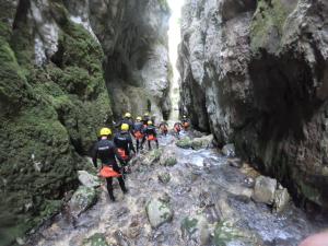 Phong cảnh thiên nhiên gần nhà khách
