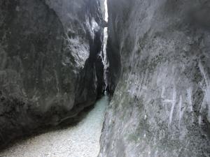 Phong cảnh thiên nhiên gần nhà khách