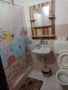 y baño con aseo, lavamanos y cortina de ducha. en Vikendica Ivana en Divčibare