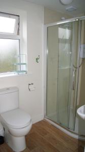 a bathroom with a shower and a toilet and a sink at Bubbles on the bay in Waterford