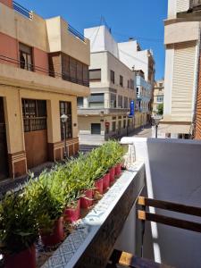 a row of potted plants on a balcony at Vive Valencia con playa y metro cerca in Valencia