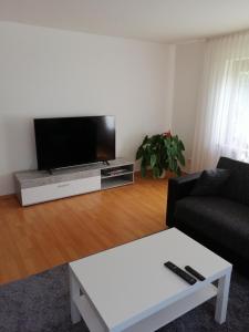 TV a/nebo společenská místnost v ubytování Ferienwohnung Dorfperle