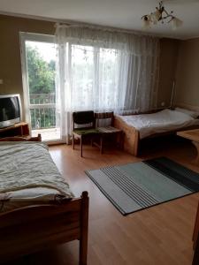 sypialnia z łóżkiem, telewizorem i oknem w obiekcie Kwatery pracownicze Łódź w Łodzi
