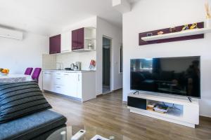 TV a/nebo společenská místnost v ubytování Apartments Stermasi