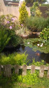 un étang avec des nénuphars et des plantes dans un jardin dans l'établissement petit chez soi dans mon petit chez moi, à Biganos