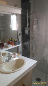Koupelna v ubytování petit chez soi dans mon petit chez moi