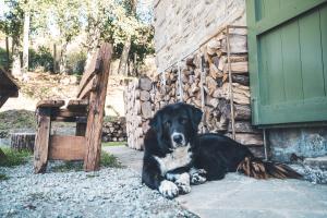 Domácí mazlíčci ubytovaní s hosty v ubytování Rifugio Pian di Rocchi