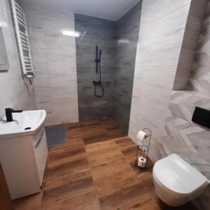 a bathroom with a shower and a toilet and a sink at Niebieski - Mala Apartamenty in Rumia