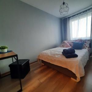 a bedroom with a bed and a table and a window at Niebieski - Mala Apartamenty in Rumia