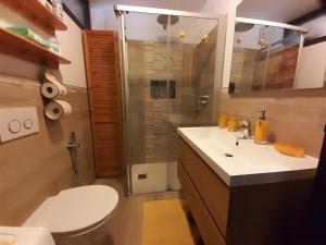 A bathroom at Sella Ronda Apartment