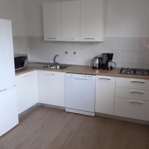 Kuchyň nebo kuchyňský kout v ubytování Apartment Premantura