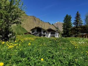a field of flowers in front of a house at Engadin Lodge PREMIUM & PRIVATE in Samnaun
