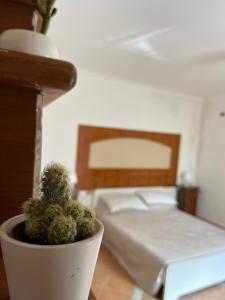 a plant in a pot in a bedroom with a bed at FF Houses - Centro Storico Ottaviano in Ottaviano