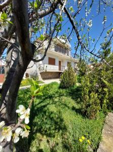a white house with a tree in front of it at Prespa`s Balcony Guesthouse in Gorica e Vogël