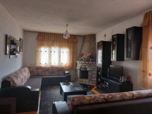 a living room with a couch and a fireplace at Prespa`s Balcony Guesthouse in Gorica e Vogël