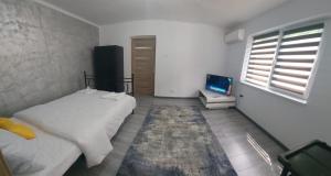 a bedroom with two beds and a television in it at ANDI 2-apartament in Băile Herculane
