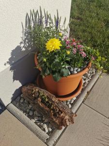 um vaso de flores sentado ao lado de uma casa em Studio Rämschfädra em Sankt Niklaus