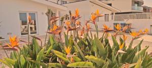 Um jardim no exterior de Varandas do Mar