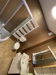 een badkamer met een toilet en een wastafel bij Apartment Vasilije in Žabljak