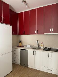 een keuken met rode kasten, een wastafel en een koelkast bij Apartment Vasilije in Žabljak