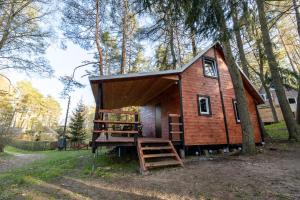 a tiny house in the woods with a staircase at Oleandria Domek z kominkiem in Biskupiec