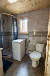 Kúpeľňa v ubytovaní Oleandria Domek z kominkiem + 28 fotografií