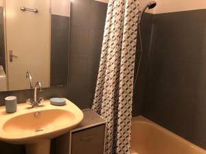 een badkamer met een wastafel en een douche met een bad bij Studio bord de mer - Plage - Piscine - Wifi in Santa-Lucia-di-Moriani