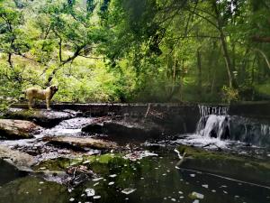 Príroda v okolí apartmánu