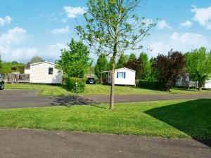 een boom in het gras naast een weg bij Resort & Camping - Val de Braye in Bessé-sur-Braye