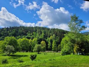 um campo verde com árvores ao fundo em Domki u Gretka em Lutowiska