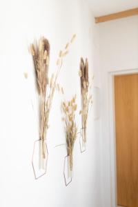 Fotografie z fotogalerie ubytování Apartmán v srdci Znojma „Jako doma“ ve Znojmě