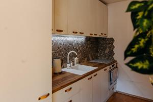 Kuchyň nebo kuchyňský kout v ubytování Apartmán v srdci Znojma „Jako doma“