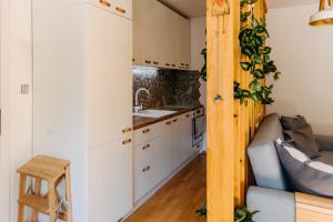 Kuchyň nebo kuchyňský kout v ubytování Apartmán v srdci Znojma „Jako doma“