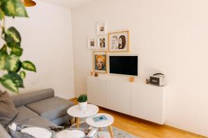 TV a/nebo společenská místnost v ubytování Apartmán v srdci Znojma „Jako doma“