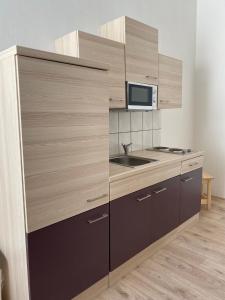 uma cozinha com um lavatório e um micro-ondas em Pension Eberhart em Treuen