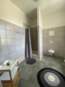 een badkamer met een douche, een toilet en een wastafel bij Pension Eberhart in Treuen