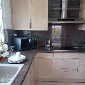 a kitchen with a sink and a microwave at Villa Costa in Periyiálion