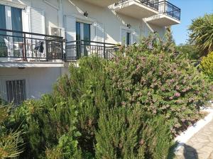 Φωτογραφία από το άλμπουμ του NEW IONIA στο Πυθαγόρειο